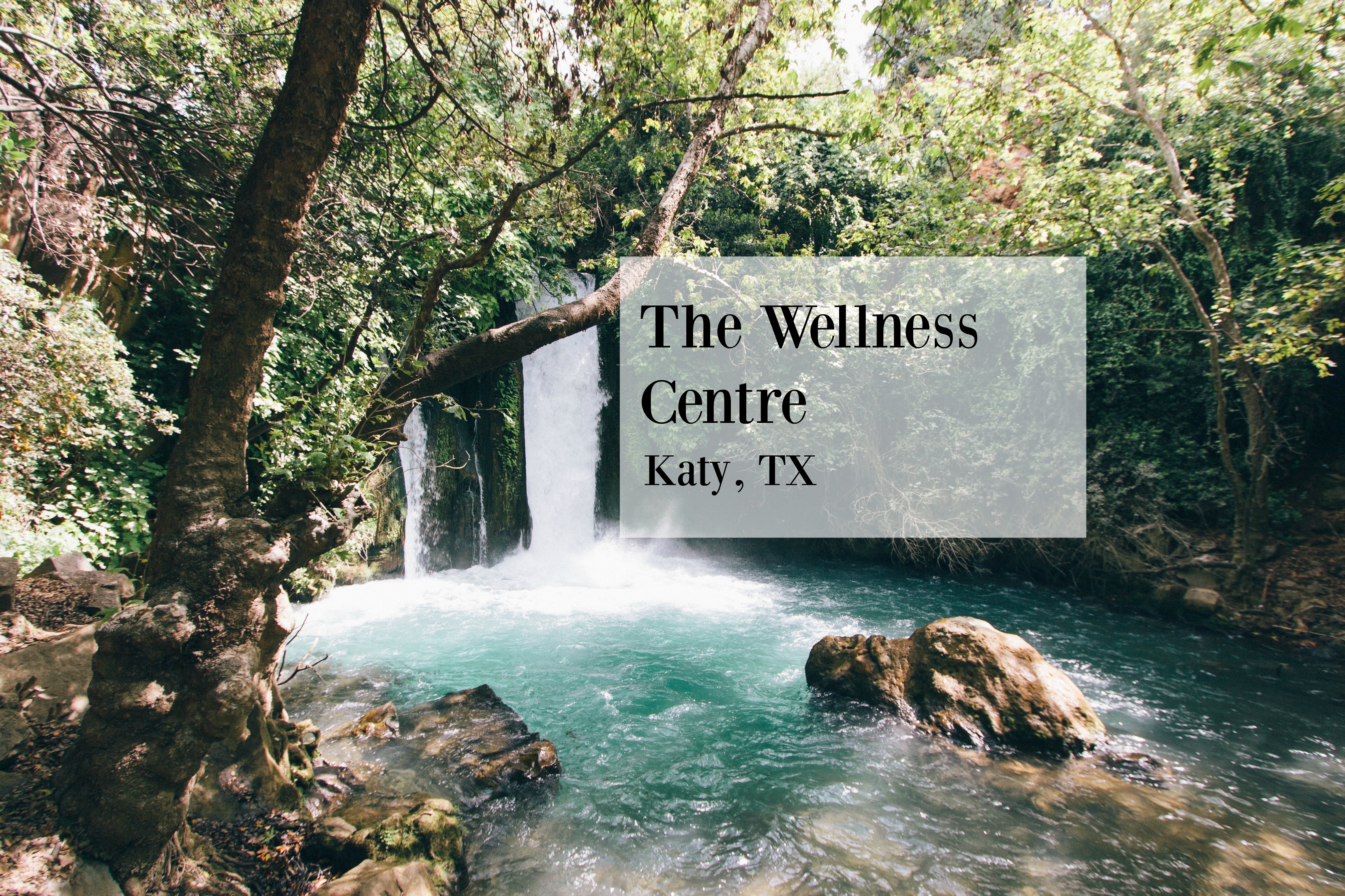 The Wellness Centre Katy Texas